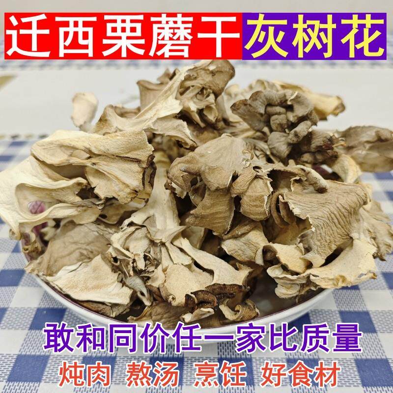 新货迁西栗蘑干野生栗蘑灰树花干货灰栗树蘑菇菌新鲜栗蘑河北唐山