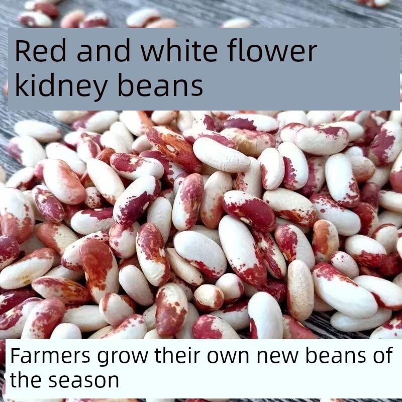 新货东北芸豆腰花芸豆5斤