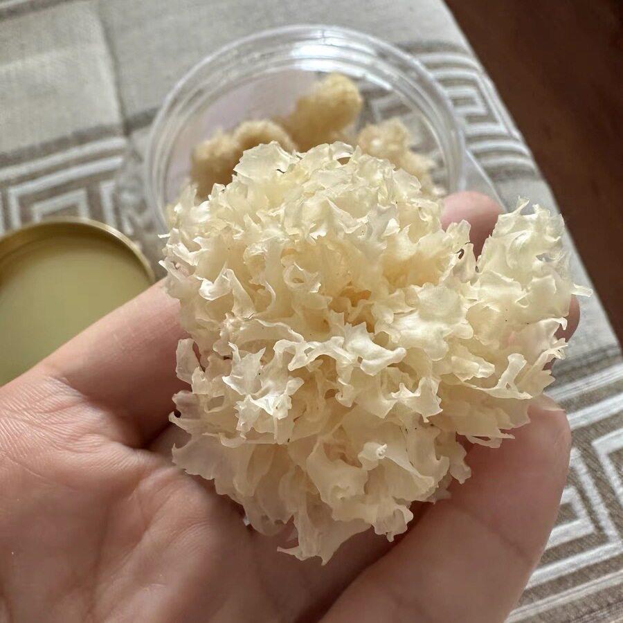 珍缘堂椴木银耳干货小银耳雪耳古田糯银耳雪燕桃胶银耳羹非即食