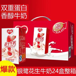 新货新日期花生牛奶蛋白饮品250mlx16/24盒整箱早餐营养学生