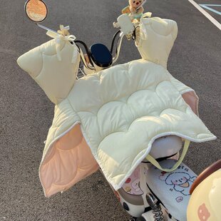 电动车挡风被四季通用冬季加大加厚侧翼双面防水春秋电车防风罩