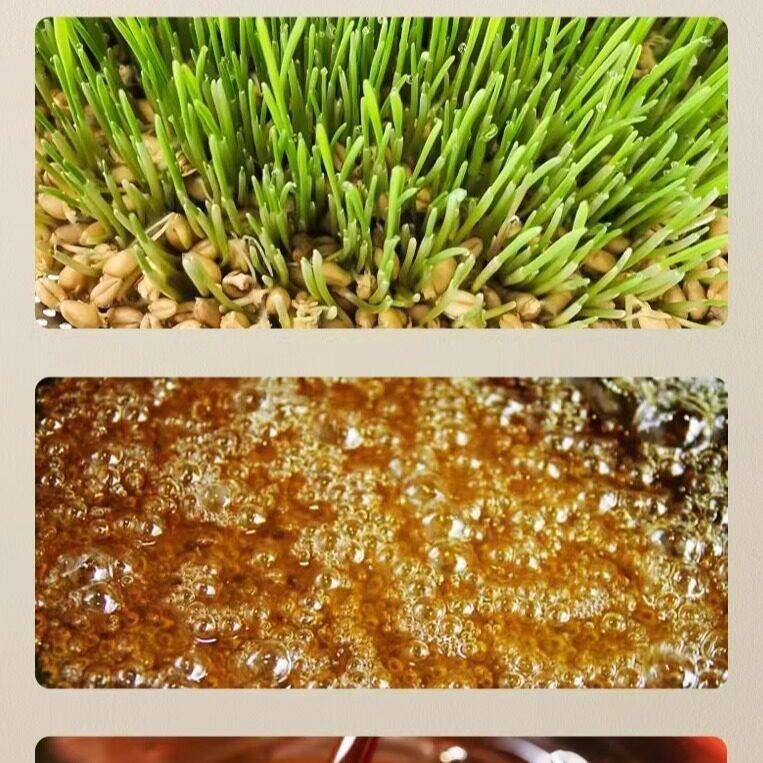 新货科麦麦芽精 5KG装 增添麦香麦芽糖浆欧式面包原料月饼麦芽精