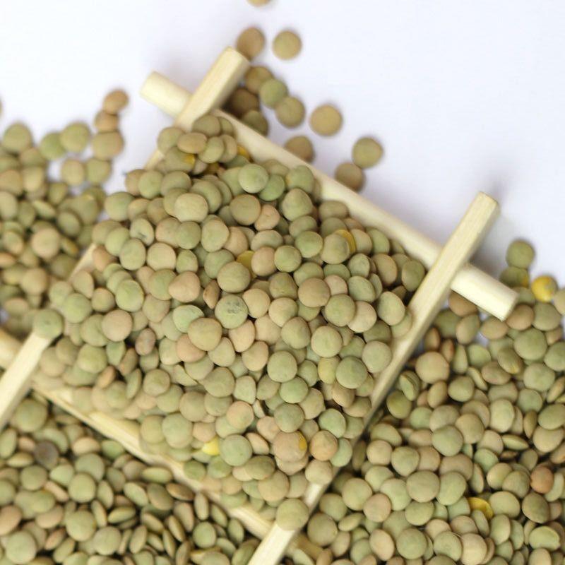 【新货】有机小扁豆五谷杂粮豆南扁豆新鲜杂粮可发豆芽非基因改造