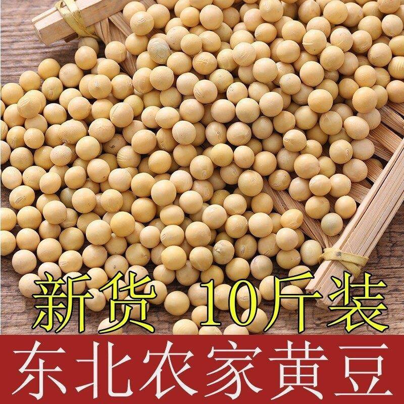 25年新黄豆5斤10斤东北黄豆农家自种五谷豆浆豆芽非转基因大豆