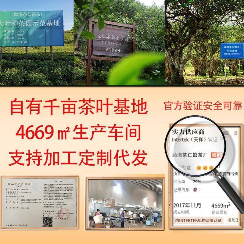 冰岛古树普洱茶生普洱250克生茶砖云南工厂现货陈香