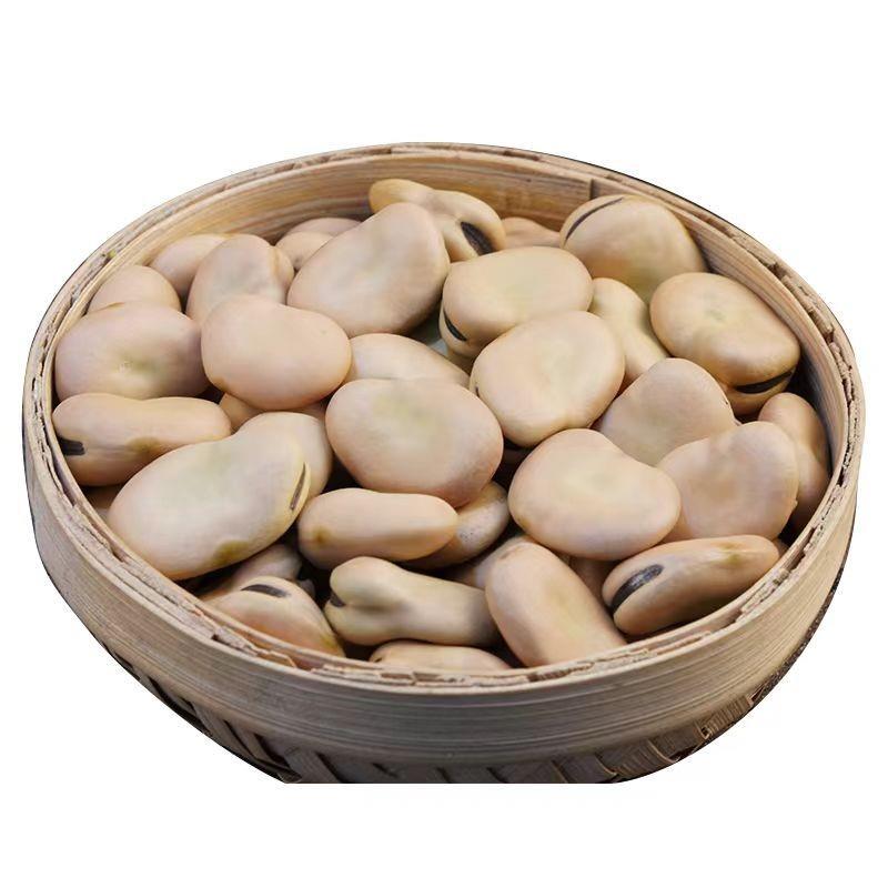 新货新收白皮干蚕豆农家生豆新鲜干面馋豆胡豆可发芽苗菜1-5斤