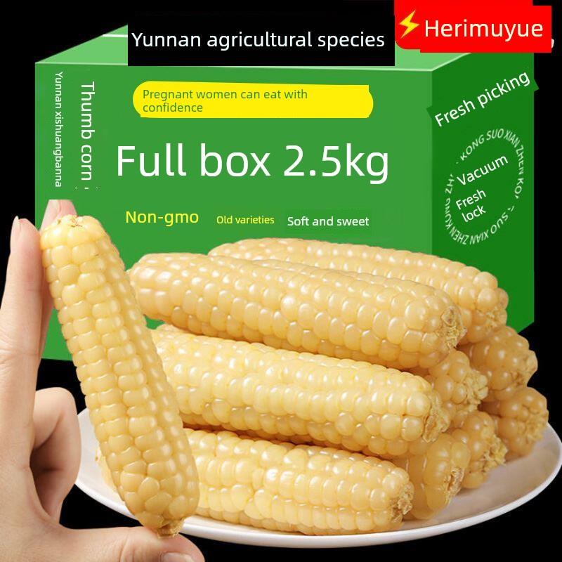 婴儿西双版纳拇指玉米香糯云南宝宝姆母指版纳糯手指小拇指小玉米