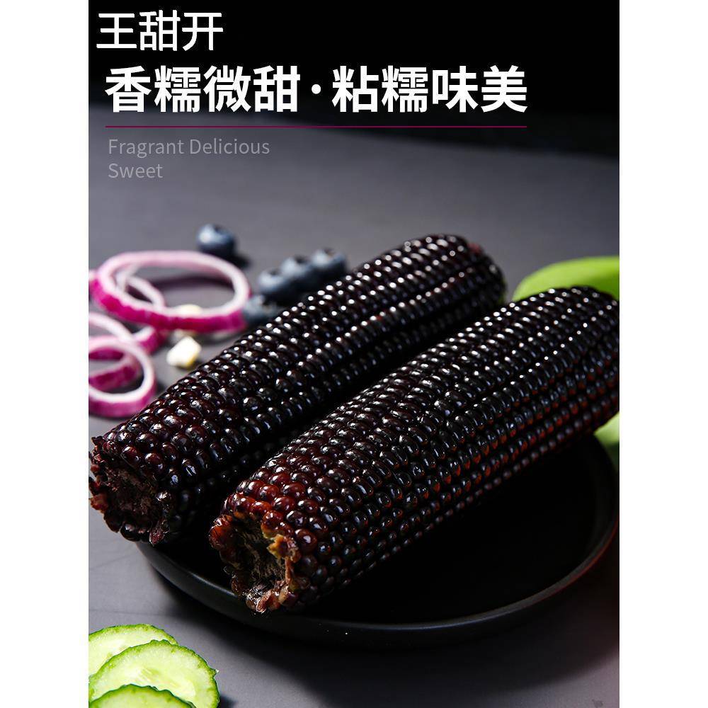 山西大同慕安糯玉米香糯微甜粘糯味美220g袋装新鲜黑糯