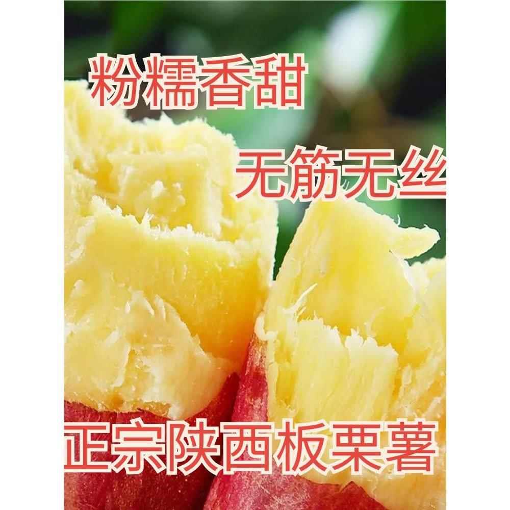 官方旗舰店陕栗板栗红薯新鲜临潼粉糯番薯地红苕沙黄白心红