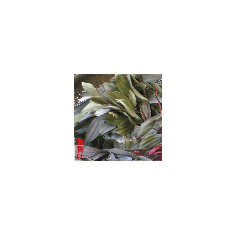 鱼香叶新化土特产天然香叶调味料干货火锅佐料除腥味50g