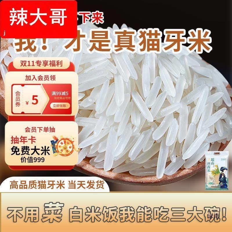 瑶山正宗猫牙米长粒香大米