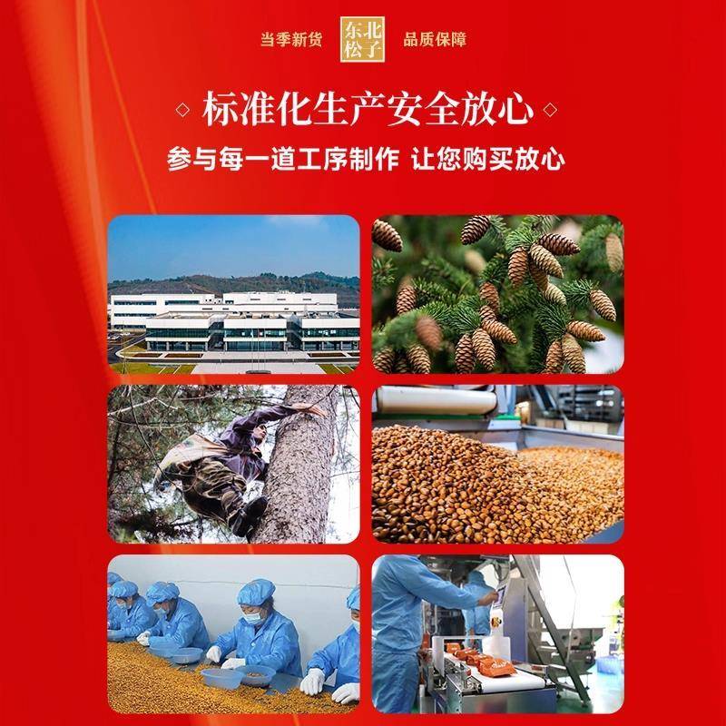 东北特产开口松子新鲜手剥大松子孕妇坚果炒货休闲零食原味25新货