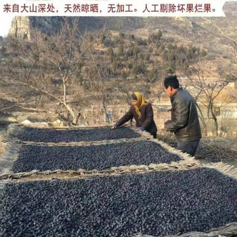 太行山无核黑枣软枣东北新货山西特产即食邯郸大个黑枣子500g