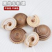 新品 天然海螺贝壳黑线车轮螺草帽螺鱼缸水族造景装 饰儿童科普手工