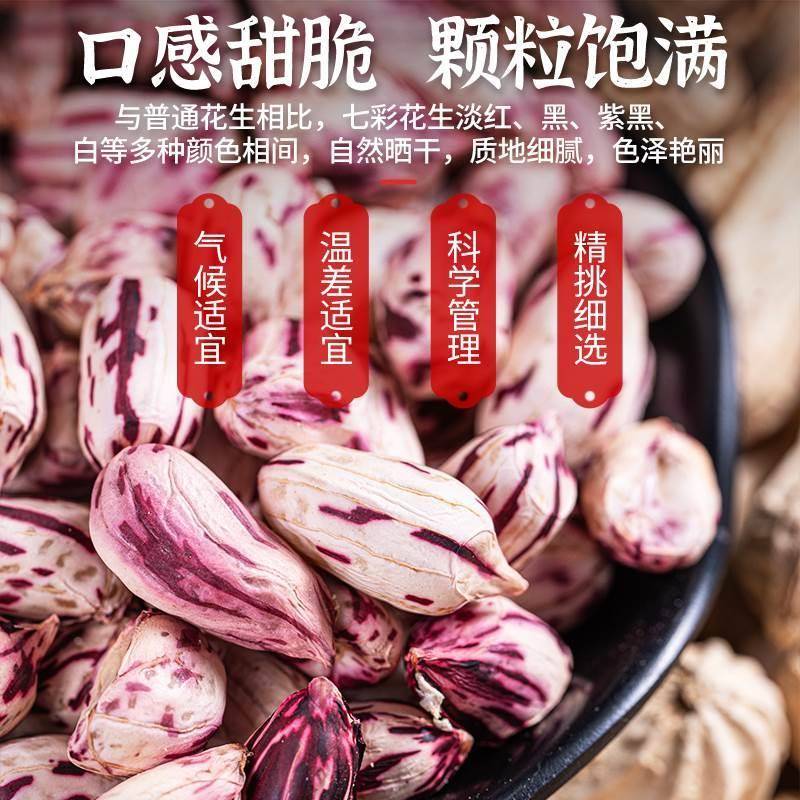 今年的2024年新花生米优质精品七彩花生新货云南七彩花生旗舰店