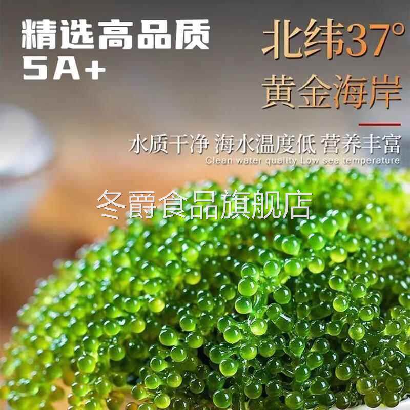 绿色鱼子酱儿童海葡萄官方旗舰店即食小孩吃的新鲜盐渍健康爆珠