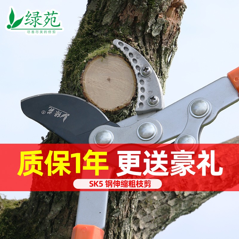修剪树枝园林果树剪刀修枝剪粗枝剪大力剪省力园艺工具花剪大强力