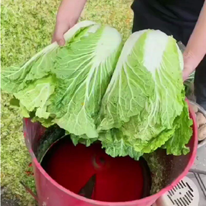养殖打菜机电动瓜果打碎机蔬菜南瓜萝卜擦丝刨丝打草粉碎机,农机/农具/农膜,铡草机,淘宝优惠券,粉丝福利购,淘宝优惠卷