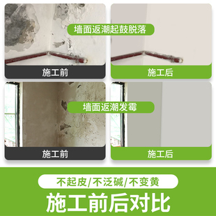 墙面碱处理除碱剂内墙泛碱反碱星消碱一号墙壁返碱抗碱王