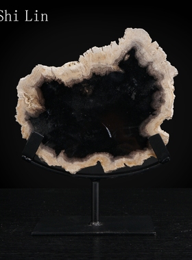 木化石桌面现代风格石头工艺品客厅摆饰创意饰品欧式家居