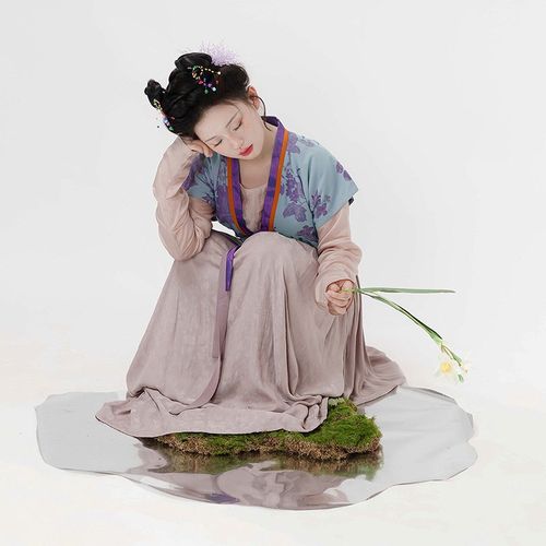 明制枕上书圆领对襟衫女款半臂C百褶裙花色古装上班也能穿汉服