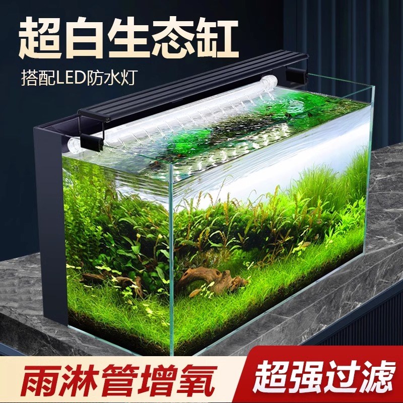 鱼缸一体式背滤小型家用免换水金鱼缸客厅桌面超白玻璃小型生态缸