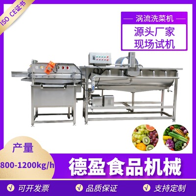 果蔬气泡清洗机大型商用洗菜机净菜加工流水线多用途蔬菜清洗机