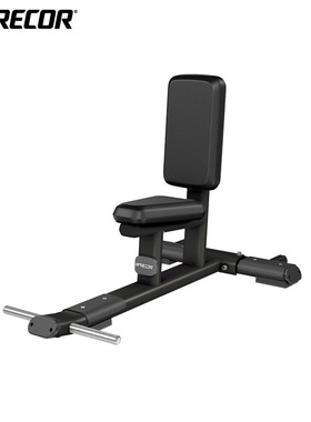 美国precor必确DBR116商用直角推肩凳多功能靠背飞鸟辅助训练椅