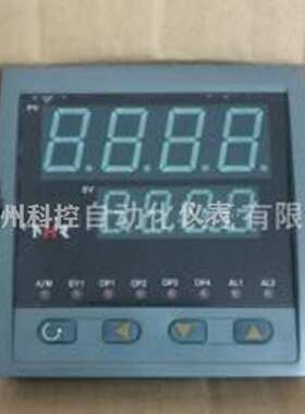 虹润 NHR-5100C-27-0/X/4/D1/1P-A 数显表温控仪