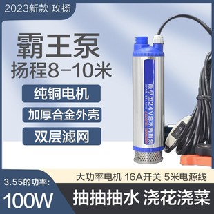 优选电动抽油泵柴油12v24伏通用抽水泵抽油神器小Z型加油枪.