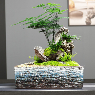 特大号口径简约长方形粗陶水培花盆绿植蝴蝶兰拼盘盆悬崖老桩造景
