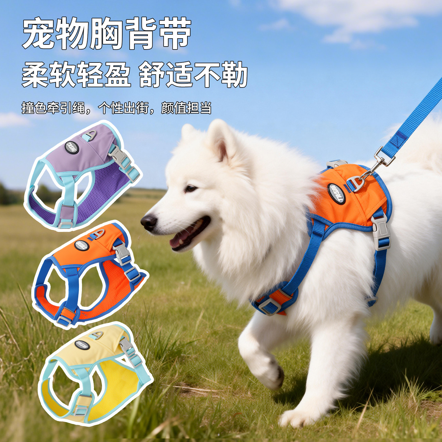 撞色牵引绳狗狗胸背带牵引绳亲肤面料透气中小型犬遛狗绳子背心式,宠物/宠物食品及用品,狗牵引绳,淘宝优惠券,粉丝福利购,淘宝优惠卷