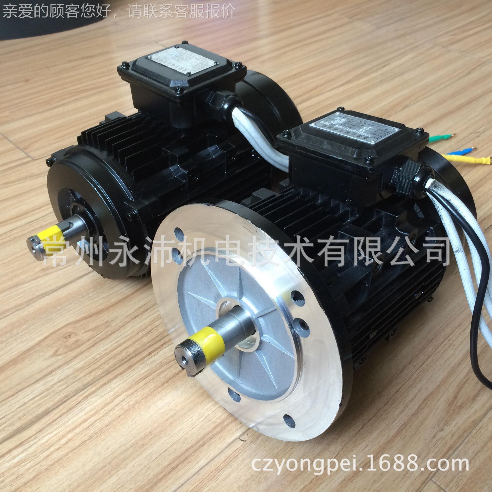 2V6K7W直流磁电永机|永无刷磁电机|稀土YP100B5电机|电瓶车电机