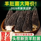 云南羊肚菌干货正品 官方旗舰店纯牛肚菌干儿童菇蘑一斤非特级野生