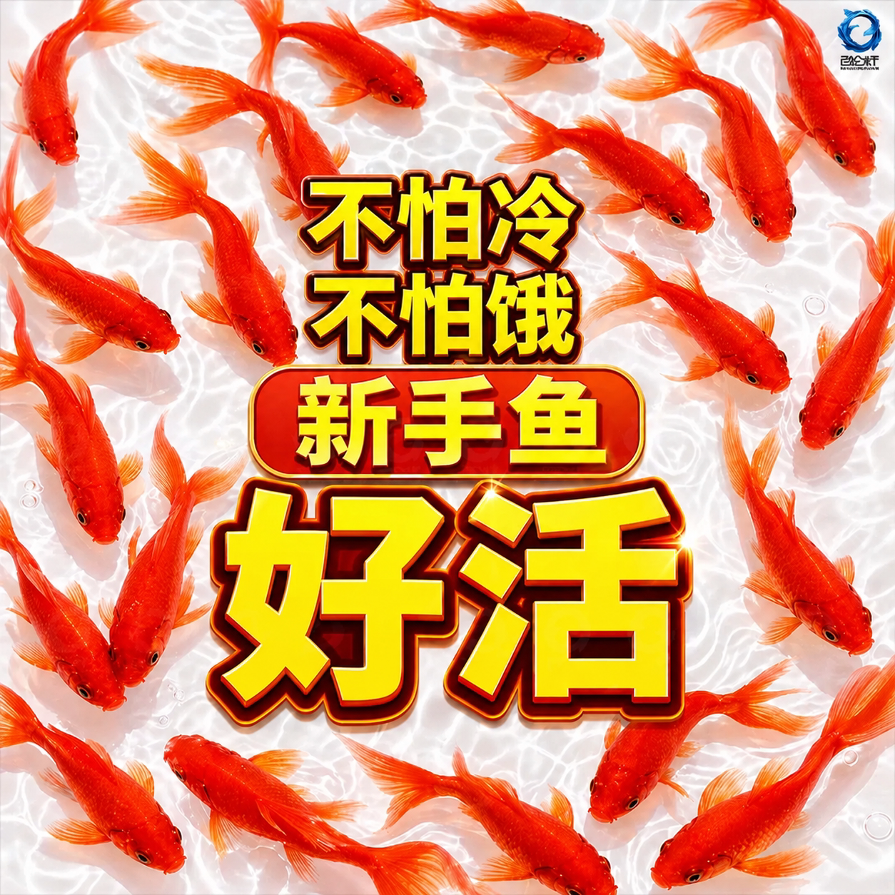 草金鱼活鱼锦鲤鱼苗观赏鱼淡水鱼冷水鱼小型耐活活体小金鱼红草金