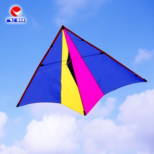 新款网红飞悦1.6小彩燕1.1小轻体风筝微风王PA31专业大人儿童风筝