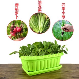 阳台蔬菜盆草莓韭菜番茄种植土培套餐家庭花盆塑料土培方形种菜盆