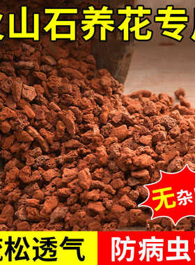 火山石颗粒多肉兰花专用颗粒土植料铺面石鱼缸底砂滤材红色火山岩