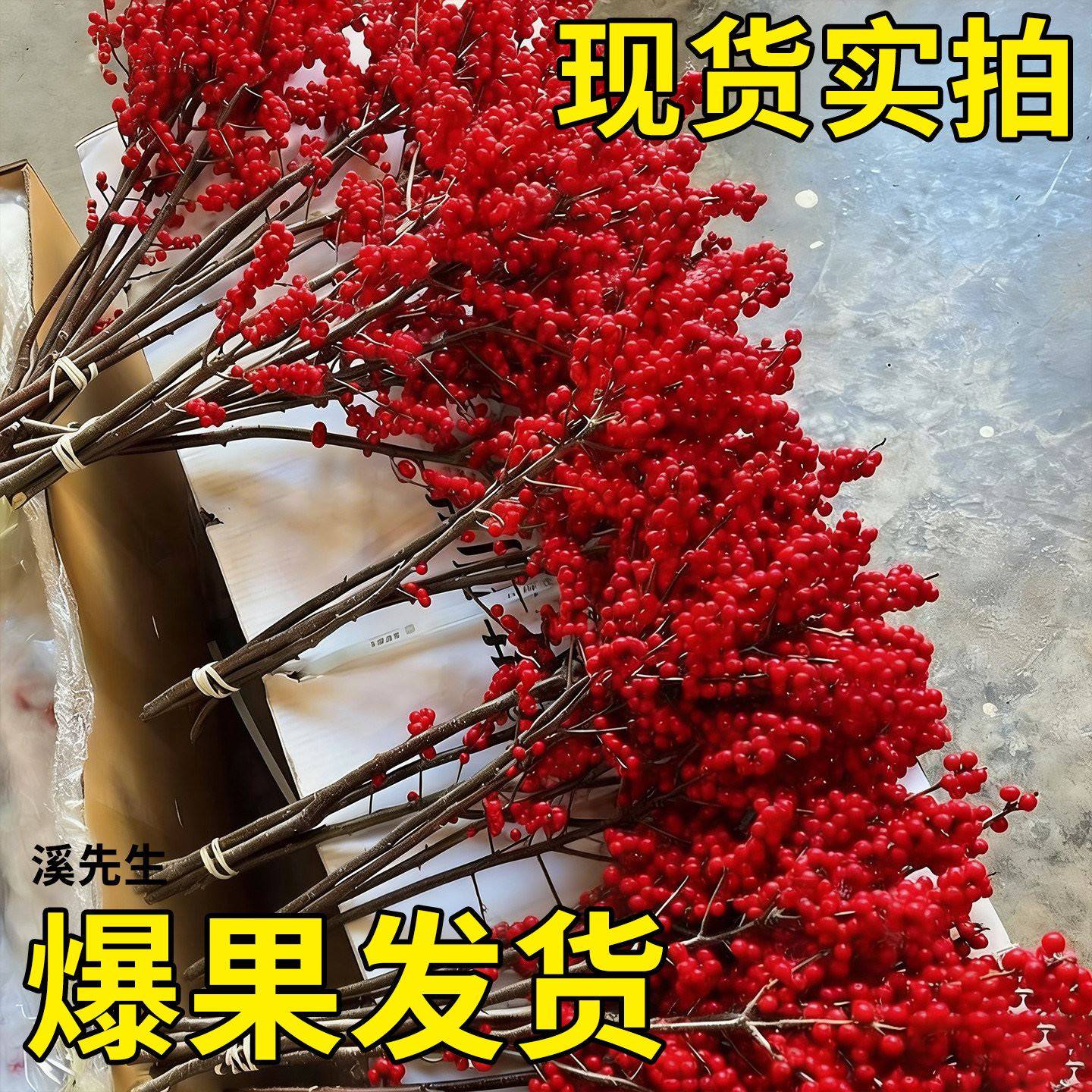 进口北美冬青红果年宵花卉老桩鲜切高档吉祥带果发货水培易成活,鲜花速递/花卉仿真/绿植园艺,月季/蔷薇/玫瑰,淘宝优惠券,粉丝福利购,淘宝优惠卷