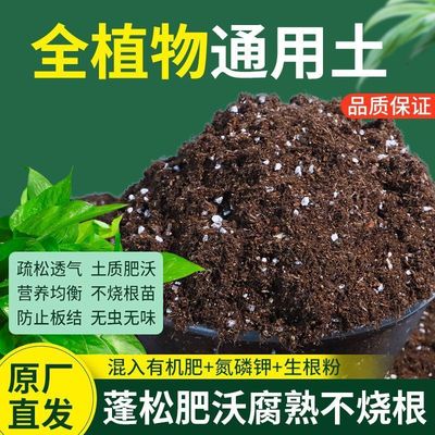 泥炭土营养养花通用专用家庭园艺