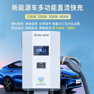 源龙行直流充电桩15 30KW新能源电动汽车快充家用蔚来红旗通用