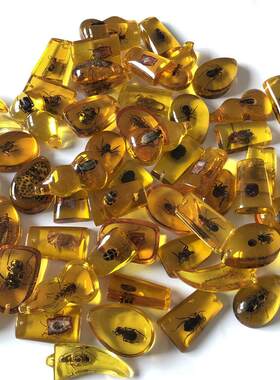 儿童透明树脂昆虫标本吊坠现货