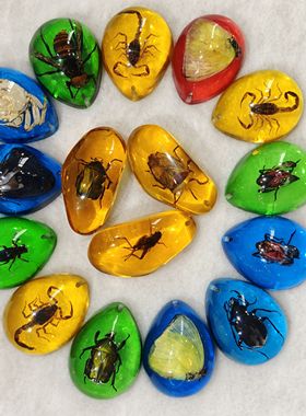 琥珀儿童礼物饰品小学课本