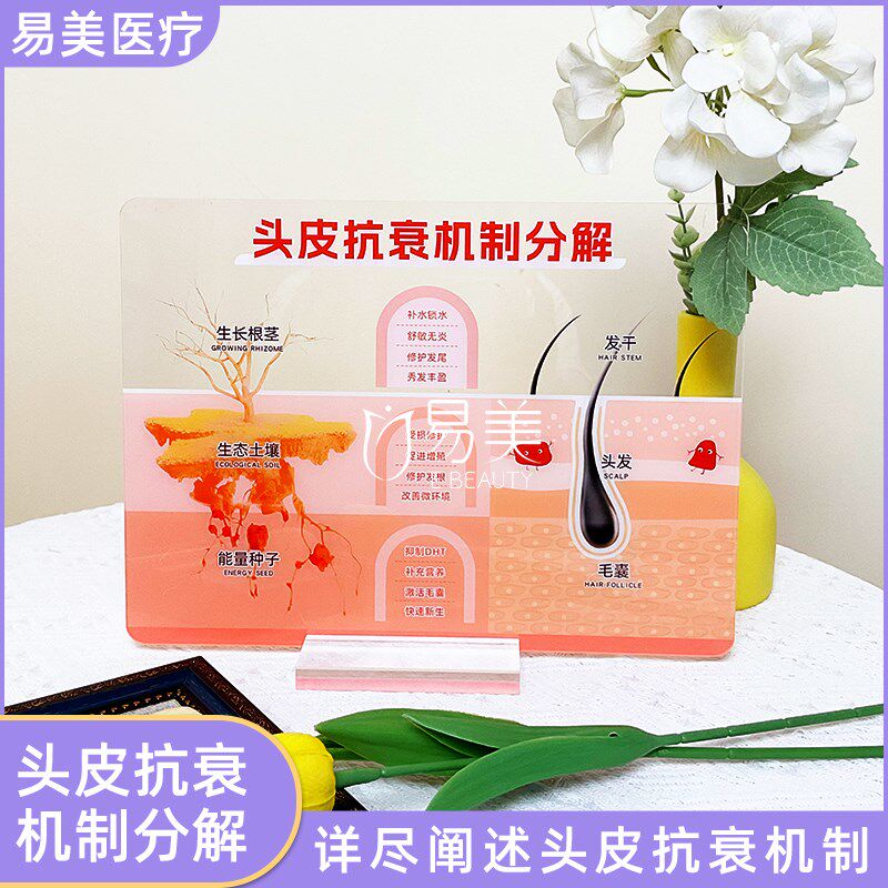 美发养发头发抗衰机制分解v亚克力展示牌头皮健康护理高透UV材质