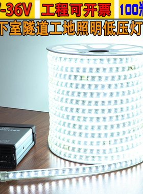 24V灯带室外工程防水低压暖白光地下室隧道养殖照Q明36超亮LED灯