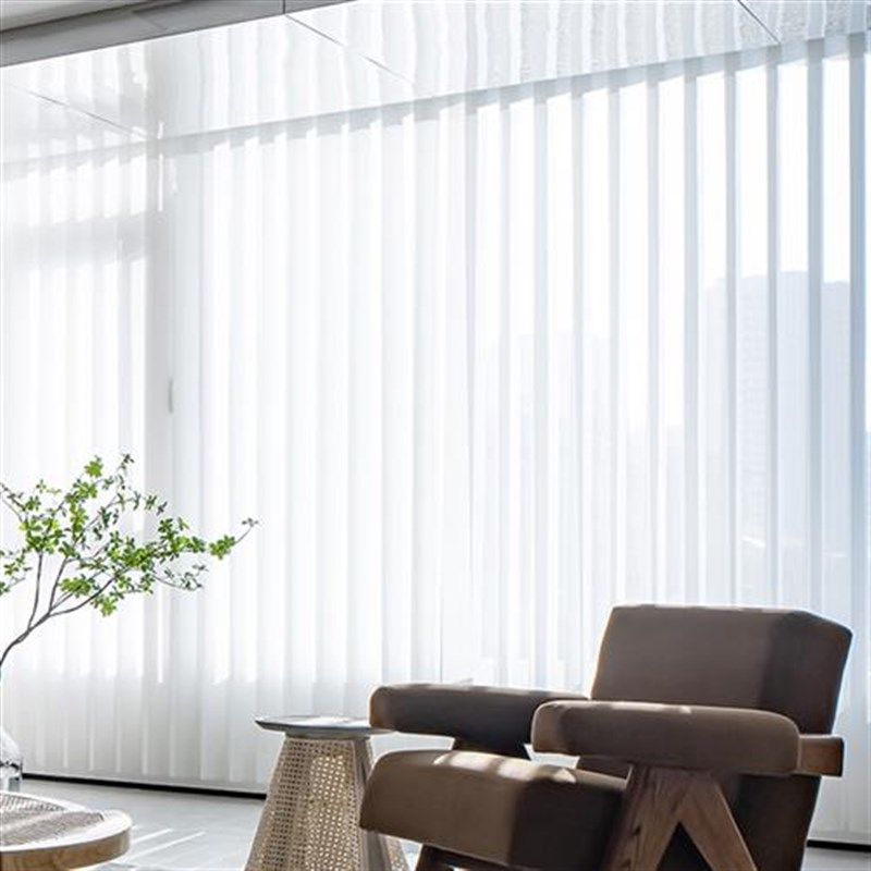 新款网红a智能电动梦幻帘窗帘纱帘垂直帘客厅卧室竖百叶办公室遮