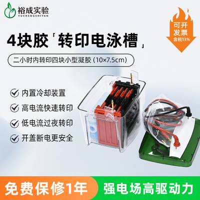 DYC-ZY4 4块胶小型转印(湿转t)电泳仪 转印槽 转膜电转电泳槽 转