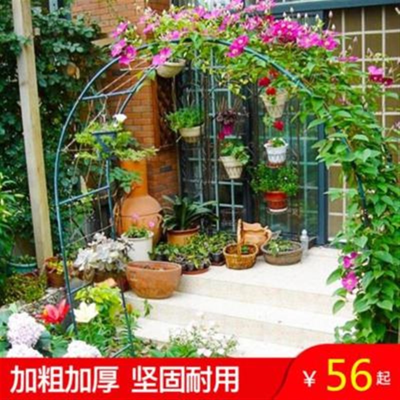 爬滕架爬藤架子花支架攀爬庭院种植三角梅牵引P黄瓜家用装饰品花