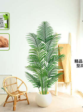 Z2仿真植物假散尾葵盆栽装饰花大摆件室内仿生绿植客厅落地盆景树