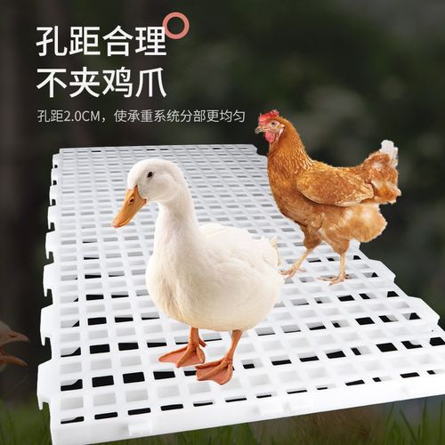 鸡用漏粪板塑料鸡舍家禽漏粪网格A板鸡鸭鹅漏屎地垫养殖鸽子漏屎